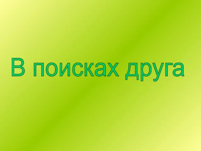 В поисках друга