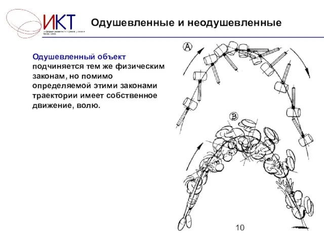 Одушевленные и неодушевленные Одушевленный объект подчиняется тем же физическим законам, но помимо