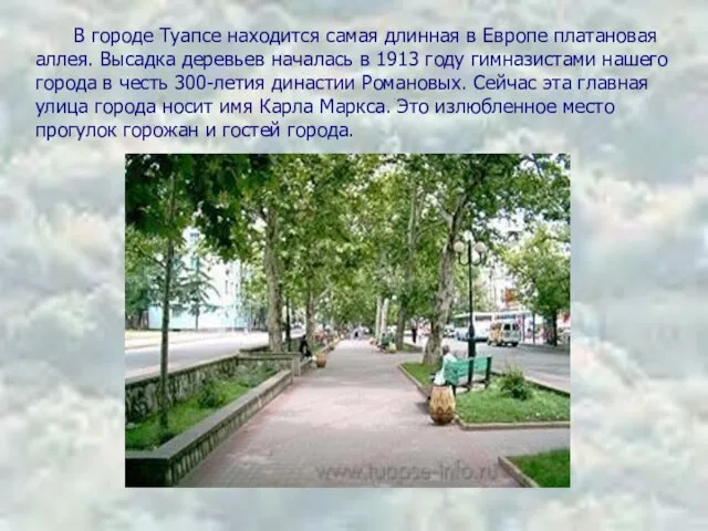 В городе Туапсе находится самая длинная в Европе платановая аллея. Высадка деревьев