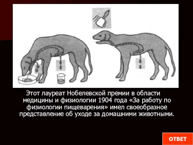 Этот лауреат Нобелевской премии в области медицины и физиологии 1904 года «За