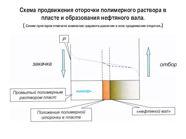 Схема продвижения оторочки полимерного раствора в пласте и образования нефтяного вала. (