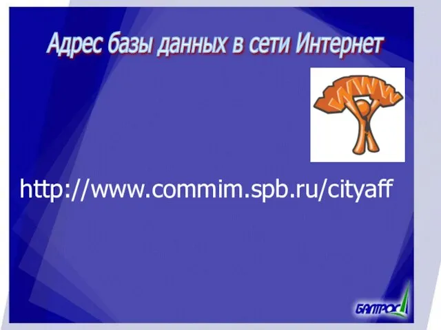 Адрес базы данных в сети Интернет http://www.commim.spb.ru/cityaff