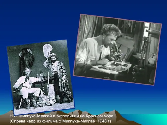 Н.Н. Миклухо-Маклай в экспедиции на Красном море. (Справа кадр из фильма о Миклухе-Маклае. 1948 г)