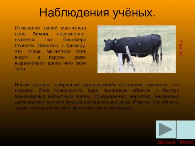 Наблюдения учёных. Изменение линий магнитного поля Земли, несомненно, скажется на биосфере планеты.