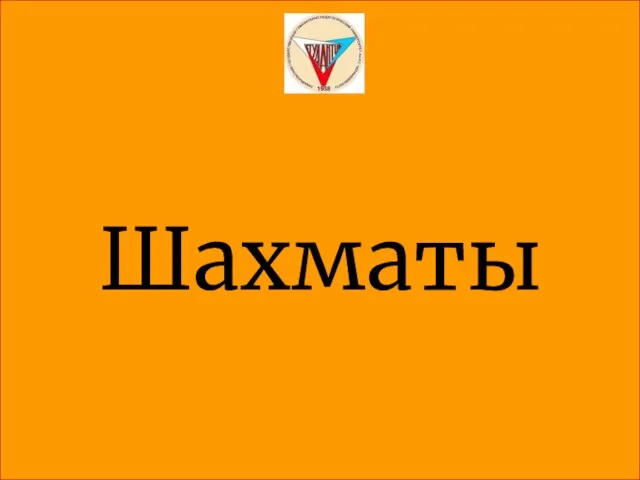 Шахматы