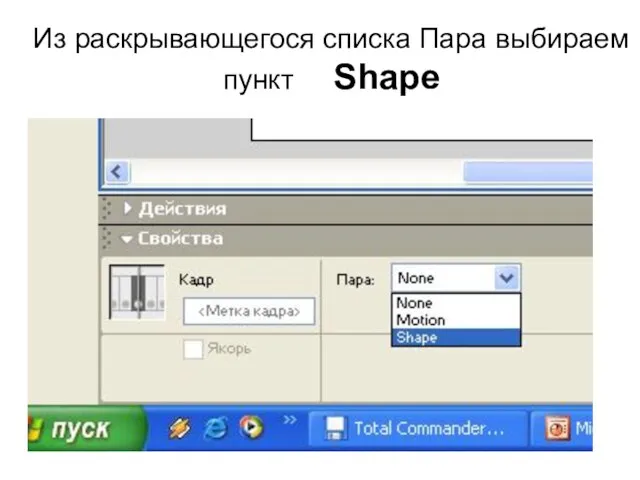 Из раскрывающегося списка Пара выбираем пункт Shape