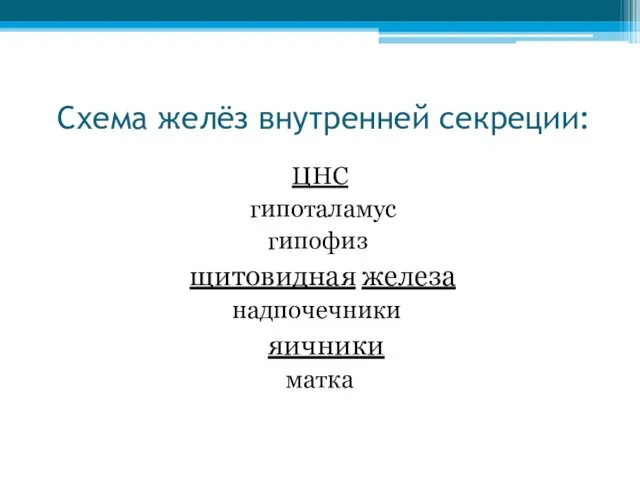 Схема желёз внутренней секреции: ЦНС гипоталамус гипофиз щитовидная железа надпочечники яичники матка