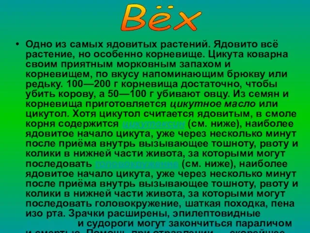 Одно из самых ядовитых растений. Ядовито всё растение, но особенно корневище. Цикута