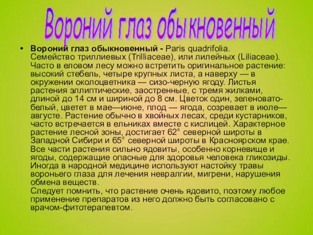 Вороний глаз обыкновенный Вороний глаз обыкновенный - Paris quadrifolia. Семейство триллиевых (Trilliaceae),