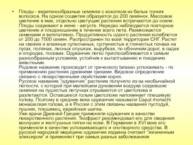 Плоды - веретенообразные семянки с хохолком из белых тонких волосков. На одном