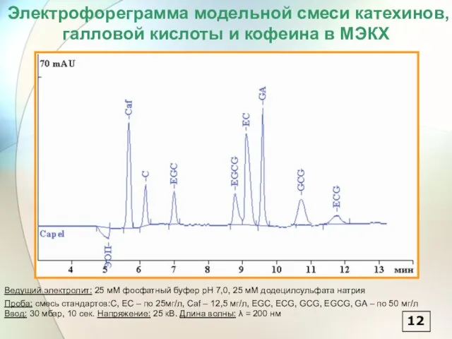 Электрофореграмма модельной смеси катехинов, галловой кислоты и кофеина в МЭКХ Ведущий электролит: