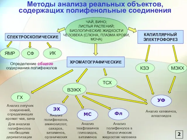 Методы анализа реальных объектов, содержащих полифенольные соединения Определение общего содержания полифенолов УФ