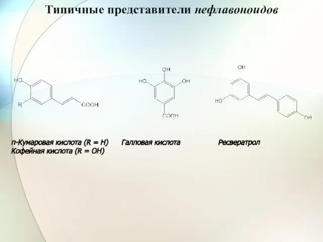 Типичные представители нефлавоноидов п-Кумаровая кислота (R = H) Галловая кислота Ресвератрол Кофейная кислота (R = OH)