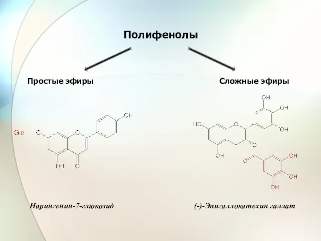 Полифенолы Сложные эфиры Простые эфиры (-)-Эпигаллокатехин галлат Нарингенин-7-глюкозид