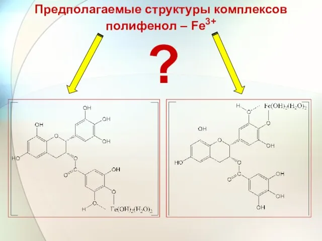 Предполагаемые структуры комплексов полифенол – Fe3+ ?