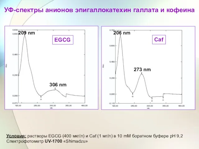 EGCG Caf 306 nm 209 nm 273 nm 206 nm УФ-спектры анионов