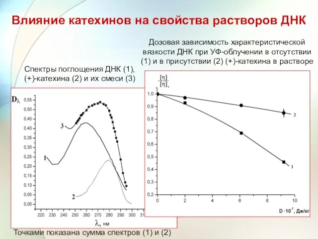 Влияние катехинов на свойства растворов ДНК Дозовая зависимость характеристической вязкости ДНК при