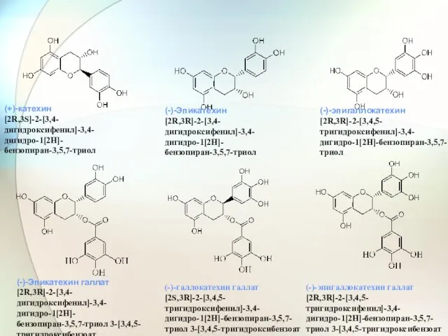 (+)-катехин [2R,3S]-2-[3,4-дигидроксифенил]-3,4-дигидро-1[2H]-бензопиран-3,5,7-триол (-)-Эпикатехин [2R,3R]-2-[3,4-дигидроксифенил]-3,4-дигидро-1[2H]-бензопиран-3,5,7-триол (-)-эпигаллокатехин [2R,3R]-2-[3,4,5-тригидроксифенил]-3,4-дигидро-1[2H]-бензопиран-3,5,7-триол (-)-Эпикатехин галлат [2R,3R]-2-[3,4-дигидроксифенил]-3,4-дигидро-1[2H]-бензопиран-3,5,7-триол 3-[3,4,5-тригидроксибензоат (-)-эпигаллокатехин галлат