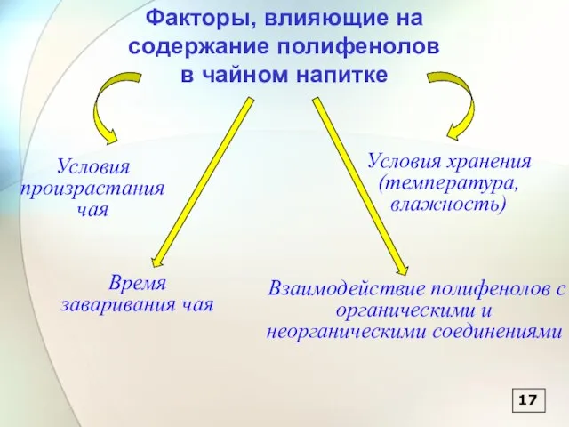 17 Факторы, влияющие на содержание полифенолов в чайном напитке Условия произрастания чая