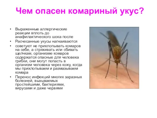 Чем опасен комариный укус? Выраженные аллергические реакции вплоть до анафилактического шока после