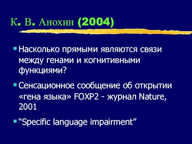 К. В. Анохин (2004) Насколько прямыми являются связи между генами и когнитивными