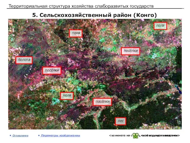 Территориальная структура хозяйства слаборазвитых государств 5. Сельскохозяйственный район (Конго) Оглавление Параметры изображения