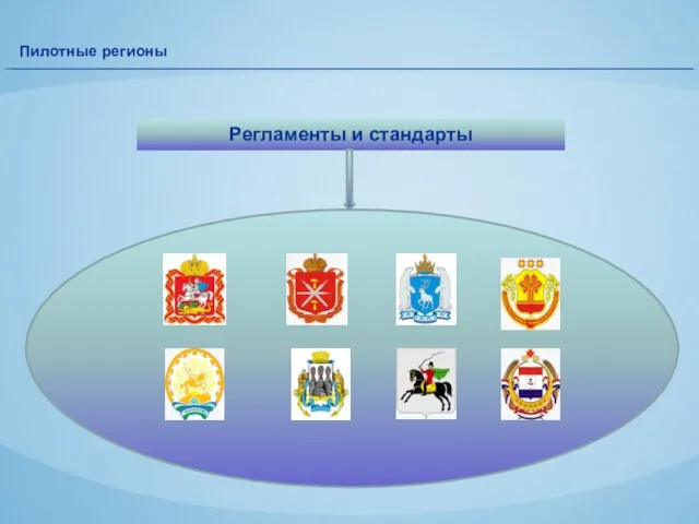 Пилотные регионы Регламенты и стандарты