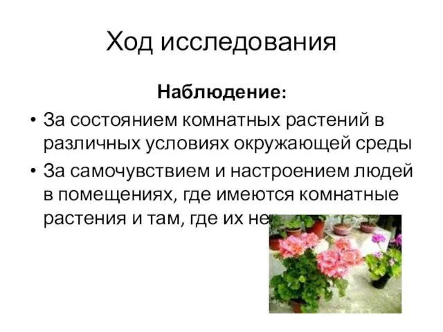 Ход исследования Наблюдение: За состоянием комнатных растений в различных условиях окружающей среды