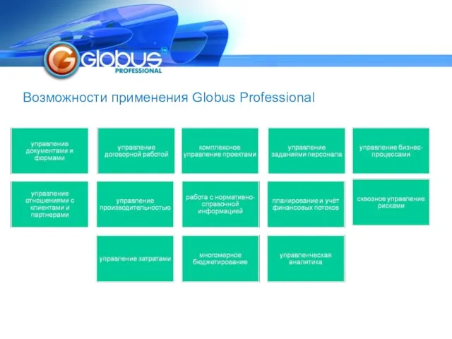 Возможности применения Globus Professional