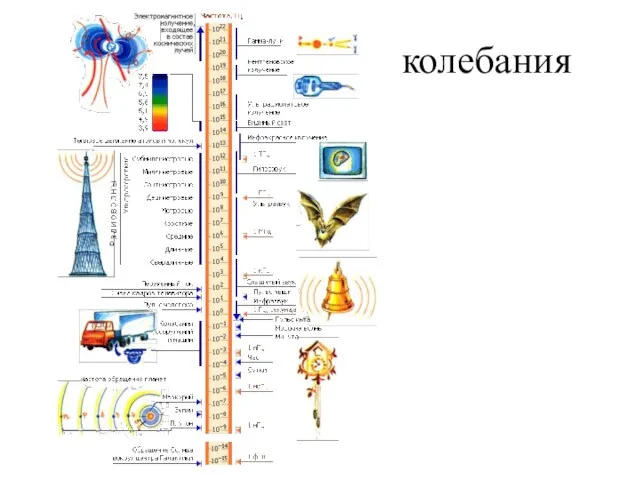 колебания