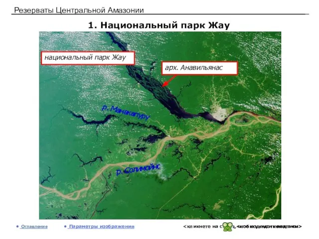 Резерваты Центральной Амазонии 1. Национальный парк Жау Оглавление Параметры изображения национальный парк