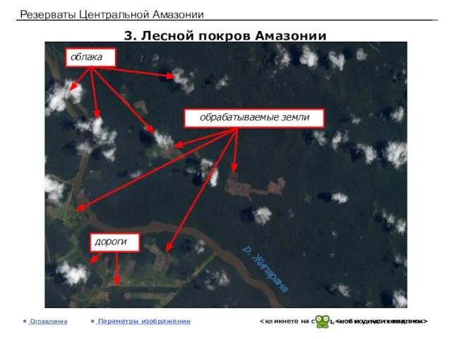 Резерваты Центральной Амазонии 3. Лесной покров Амазонии Оглавление Параметры изображения р. Жипарана