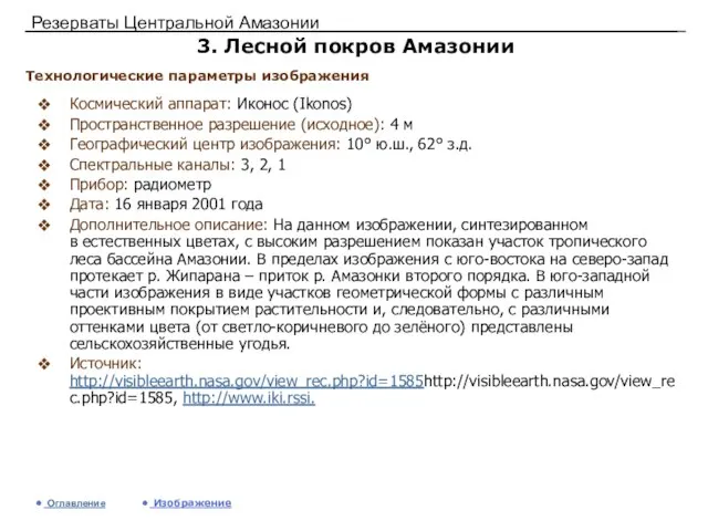 Резерваты Центральной Амазонии 3. Лесной покров Амазонии Космический аппарат: Иконос (Ikonos) Пространственное