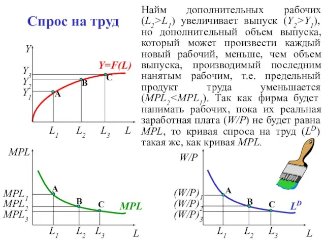 Спрос на труд Y3 L Y2 Y1 L2 L1 L1 L L2