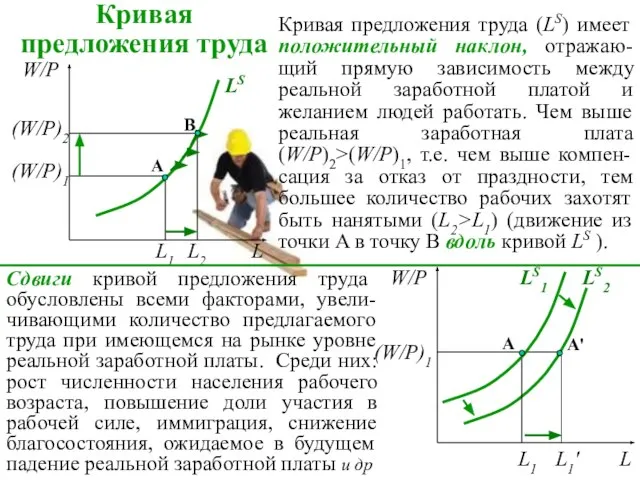 Кривая предложения труда Кривая предложения труда (LS) имеет положительный наклон, отражаю-щий прямую