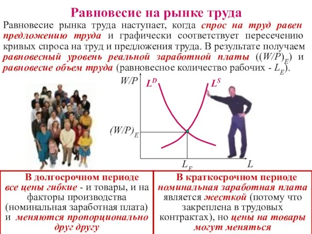 Равновесие на рынке труда Равновесие рынка труда наступает, когда спрос на труд