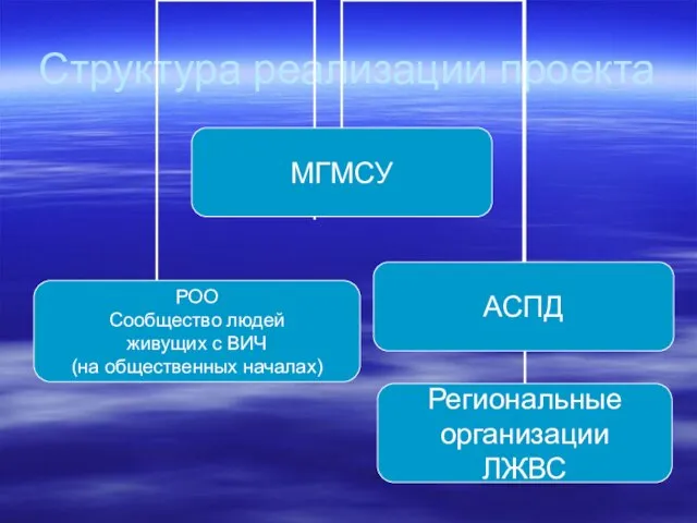 Структура реализации проекта