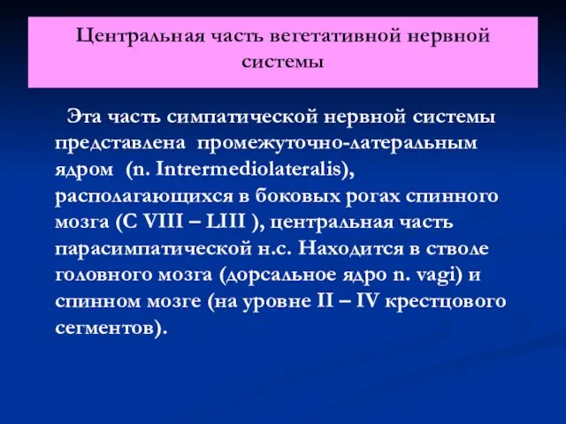 Центральная часть вегетативной нервной системы Эта часть симпатической нервной системы представлена промежуточно-латеральным