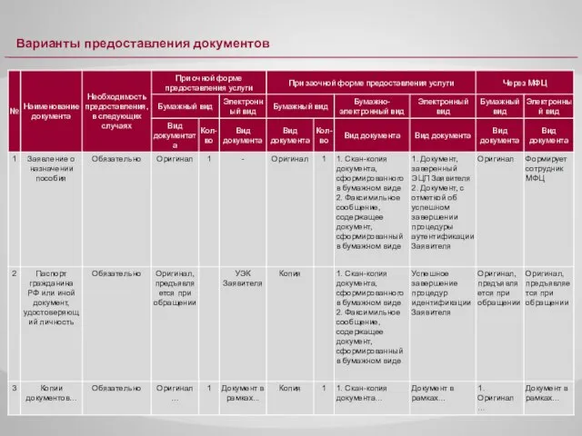 Варианты предоставления документов