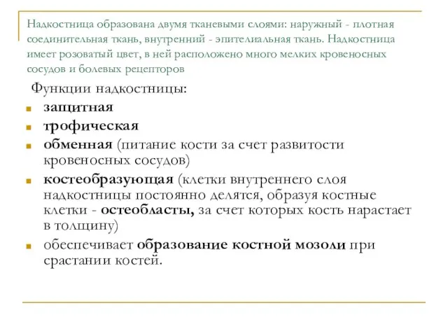 Надкостница образована двумя тканевыми слоями: наружный - плотная соединительная ткань, внутренний -