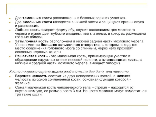 Две теменные кости расположены в боковых верхних участках. Две височные кости находятся