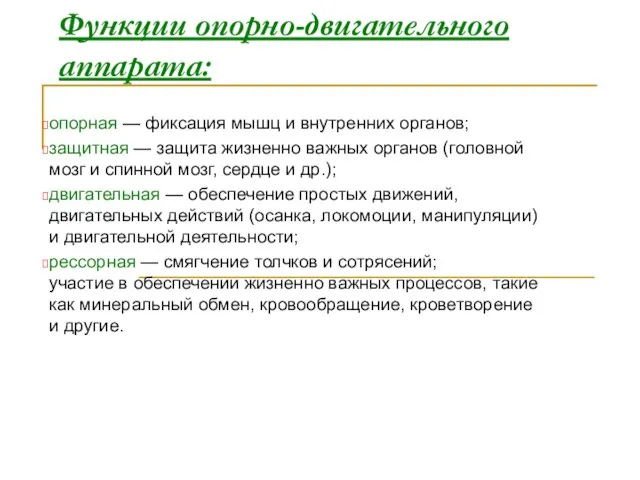 Функции опорно-двигательного аппарата: опорная — фиксация мышц и внутренних органов; защитная —