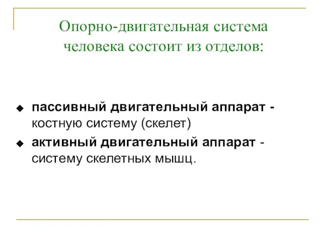 пассивный двигательный аппарат - костную систему (скелет) активный двигательный аппарат - систему