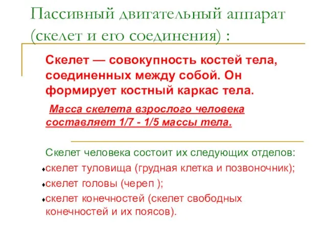 Пассивный двигательный аппарат (скелет и его соединения) : Скелет — совокупность костей