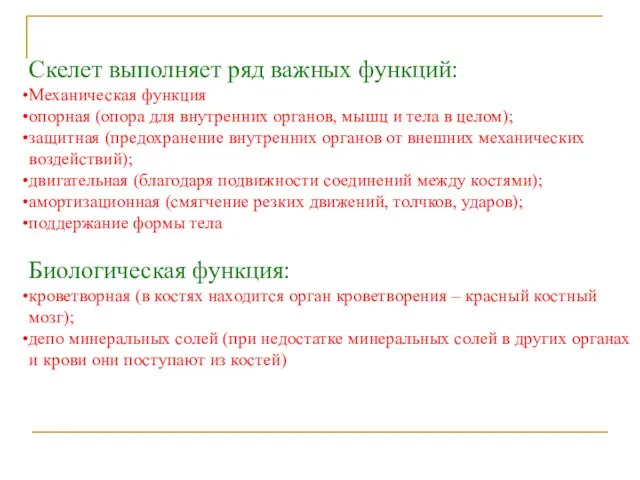 Скелет выполняет ряд важных функций: Механическая функция опорная (опора для внутренних органов,