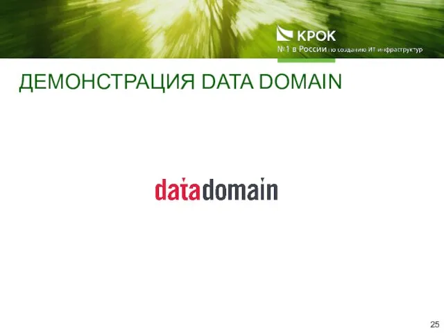 ДЕМОНСТРАЦИЯ DATA DOMAIN