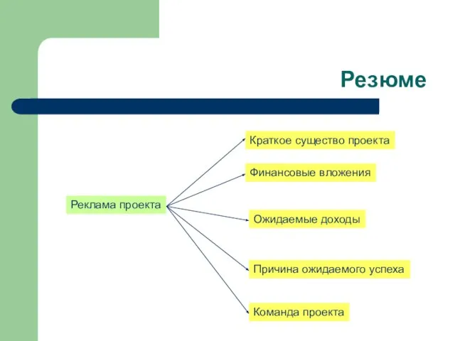 Резюме Реклама проекта Краткое существо проекта Финансовые вложения Ожидаемые доходы Причина ожидаемого успеха Команда проекта