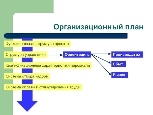 Организационный план Структура управления Квалификационные характеристики персонала Система отбора кадров Функциональная структура