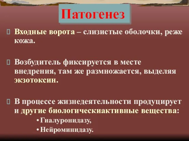 Патогенез Входные ворота – слизистые оболочки, реже кожа. Возбудитель фиксируется в месте