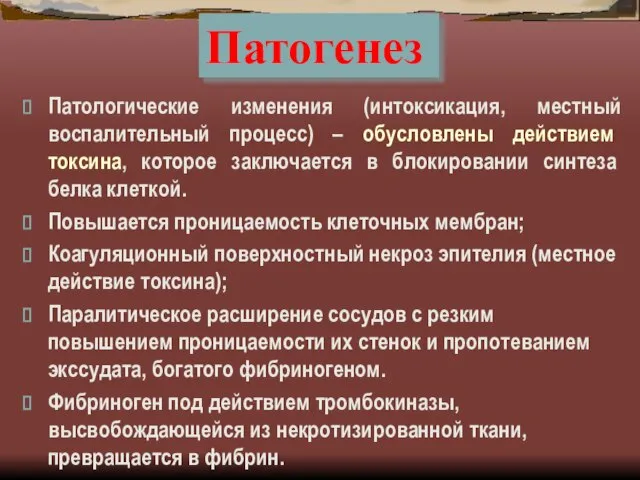 Патогенез Патологические изменения (интоксикация, местный воспалительный процесс) – обусловлены действием токсина, которое